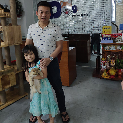 Khách hàng nhận mèo Golden tại Chạm Pets