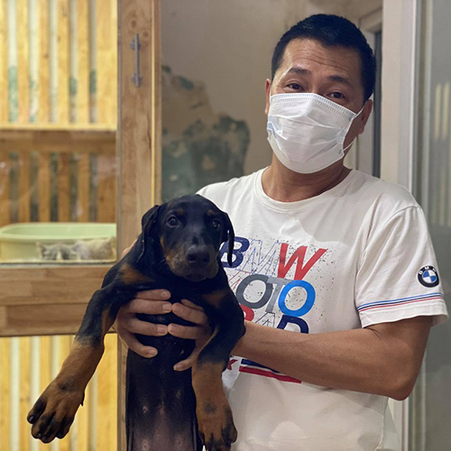 Khách hàng bế chó Doberman con màu đen nâu khi nhận bé tại Chạm Pets