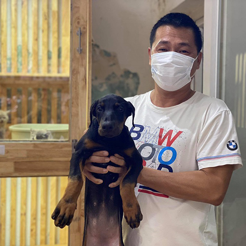 Khách đang bế một bé Doberman tại Chạm Pets
