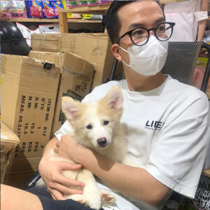 Khách hàng nam bế bé Border Collie con màu kem trắng tại Chạm Pets
