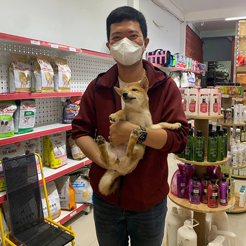 Khách nam bế bé Shiba vàng tại cửa hàng Chạm Pets