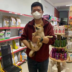 Khách nam nhận bé chó Shiba Inu vàng đỏ tại Chạm Pets