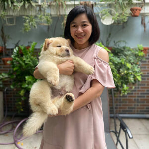 Khách hàng bế bé chó Chow Chow màu kem tại Chạm Pets Family trong ngày bàn giao