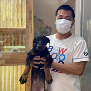 Khách hàng bế bé chó Doberman con tại Chạm Pets trong ngày bàn giao