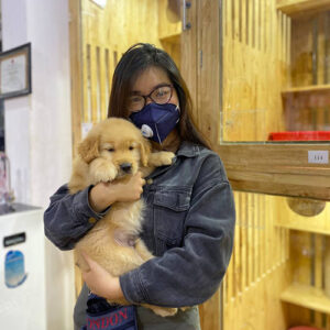 Khách hàng bế chó Golden con tại Chạm Pets