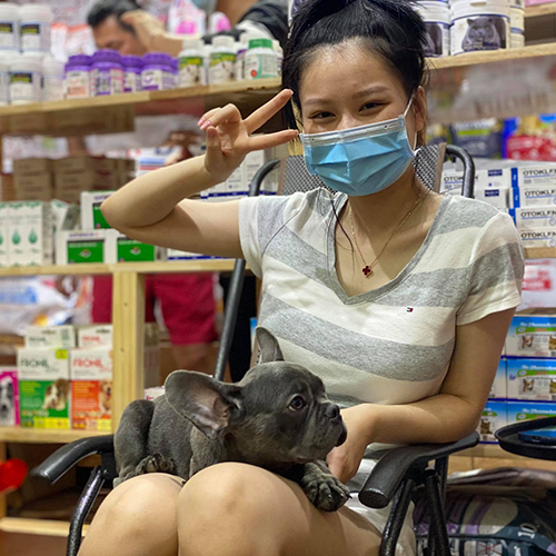 Khách nhận chó Bull Pháp blue xám khói tại Chạm Pets