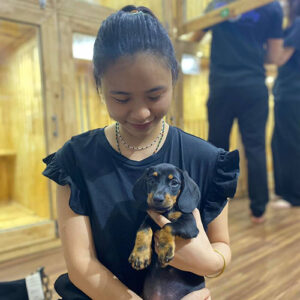 Khách nữ bế bé chó Lạp Xưởng đen vàng tại Chạm Pets Family trong ngày bàn giao
