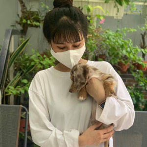 Khách nữ bế bé chó Lạp Xưởng màu merle loang tại Chạm Pets Family