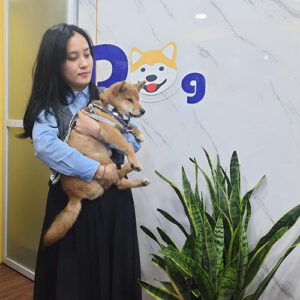 Khách nữ bế bé chó Shiba vàng đỏ tại Chạm Pets Family trong ngày bàn giao