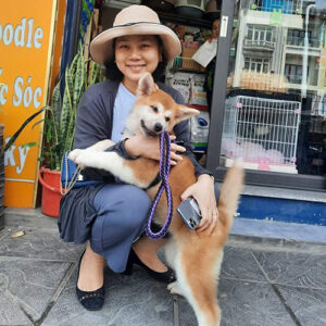 Khách ôm bé chó Akita vàng đỏ tại Chạm Pets Family trước khi đón bé về nhà
