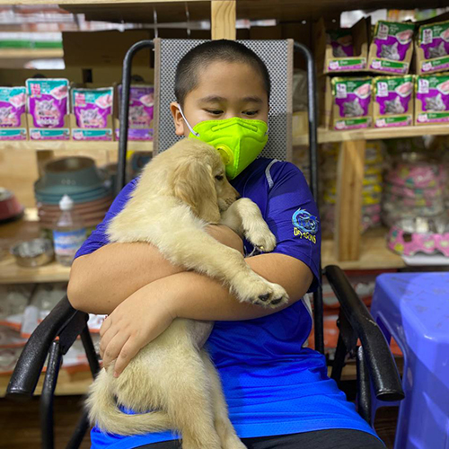 Khách ôm chó Golden con màu vàng kem tại cửa hàng thú cưng