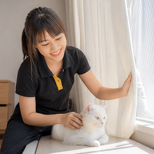 Nhân viên Chạm Pets kéo rèm che nắng gắt cho mèo trắng
