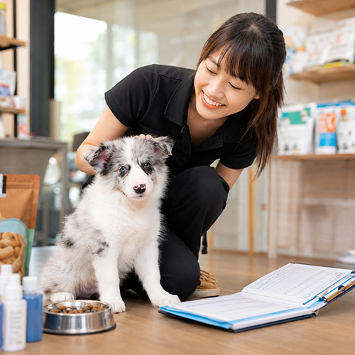 Nhân viên chăm sóc Border Collie cùng sổ theo dõi sức khỏe và thức ăn