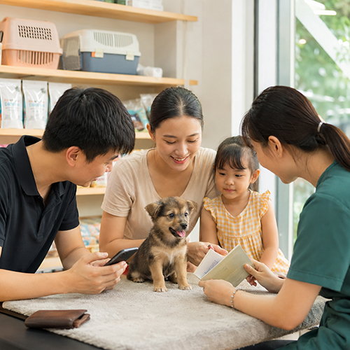 Gia đình nhận chó con khỏe mạnh sau khi kiểm tra thông tin và giấy tờ rõ ràng