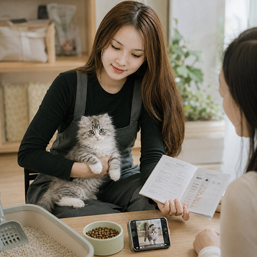 Nhân viên Chạm Pets tư vấn sổ sức khỏe và video của mèo con cho khách hàng