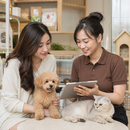 Khách hàng được tư vấn chọn chó mèo cảnh tại không gian thú cưng sạch sẽ