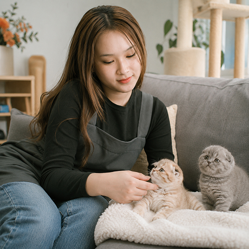 Cô gái chơi cùng các bé mèo trong không gian trong nhà sạch sẽ