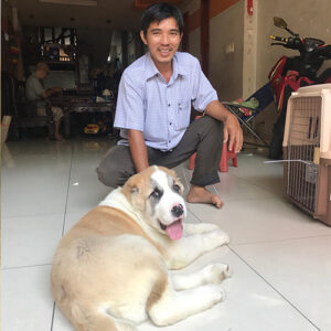 Khách hàng nhận bé chó cảnh giống lớn tại nhà, hình ảnh feedback thực tế từ Chạm Pets Family