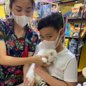 Gia đình khách hàng nhận mèo Anh lông dài trắng con tại Chạm Pets Family