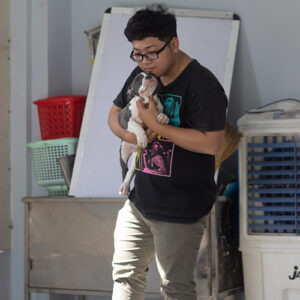 Khách hàng bế bé chó con Bully xám trắng trong ngày bàn giao từ Chạm Pets Family