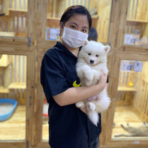 Khách hàng bế bé chó con Samoyed trắng tại Chạm Pets Family