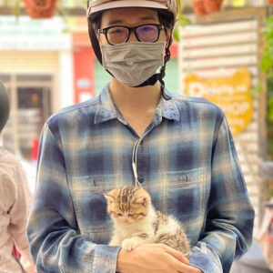 Khách hàng nhận mèo Anh lông dài tabby tại Chạm Pets Family