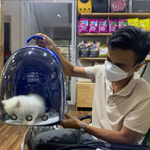 Khách hàng nhận mèo Anh lông dài trắng bằng balo vận chuyển tại Chạm Pets Family