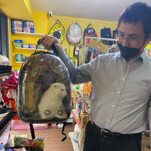 Khách hàng nhận mèo Anh lông dài trắng bằng balo vận chuyển tại Chạm Pets Family