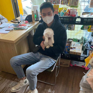 Khách hàng nhận mèo Anh lông dài trắng con tại Chạm Pets Family