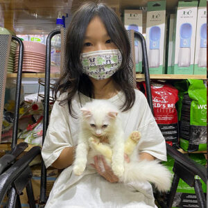 Khách hàng nhận mèo Anh lông dài trắng tại Chạm Pets Family