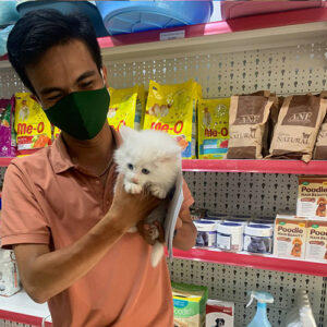 Khách hàng nhận mèo Anh lông dài trắng tại Chạm Pets Family