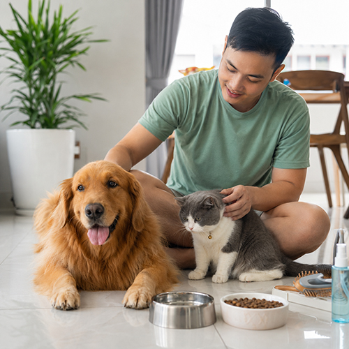 Người nuôi chăm sóc chó mèo với bát ăn nước uống và dụng cụ vệ sinh trong nhà