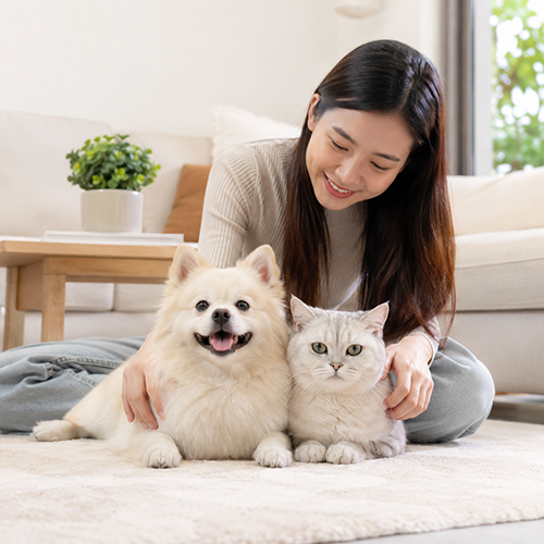 Người nuôi vui vẻ bên chó mèo cảnh trong phòng khách gia đình